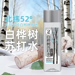 轻上 100%白桦树汁天然原汁原液0添加清甜回甘小瓶植物饮料送礼 白桦树汁苏打水500ml*24瓶