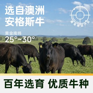 澳贝美 澳洲安格斯原切带芯牛腱子 冷冻生鲜牛肉