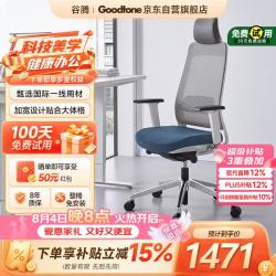 Goodtone 谷腾 Filo 人体工学椅 白框灰网蓝布 头枕款