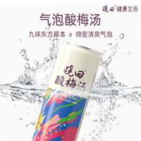 晓田 气泡酸梅汤 325ml*24瓶 0糖0代糖0防腐剂
