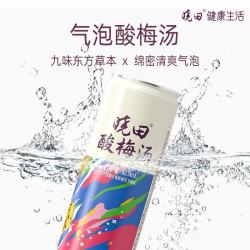 晓田 气泡酸梅汤 325ml*24瓶 0糖0代糖0防腐剂