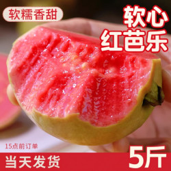 丰沛鲜生 广西红心芭乐 中果 1斤