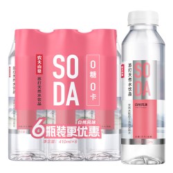 农夫山泉 无糖苏打水