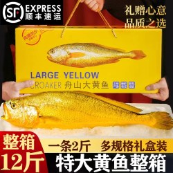 鱼小裕 山东省 特大号黄花鱼 4条礼盒装 每条约1斤 冷冻