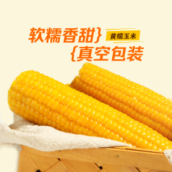 东方甄选 黑龙江黄糯玉米 200g*8袋 1600g