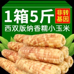 喵星探 花糯玉米西双版纳新鲜香糯小玉米真空装低脂即食软糯苞米代餐