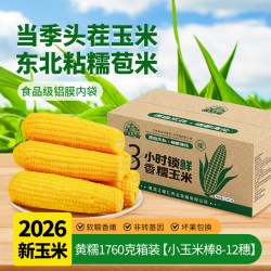 刘老杆 东北黄糯玉米新鲜软糯粘黏苞米白糯黑糯现摘真空装代餐饱腹玉米棒