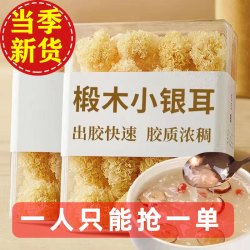 无品牌 椴木小银耳 100克 袋装
