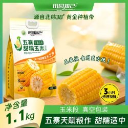 田园知己 山西忻州黄糯玉米 1.1kg 真空包装