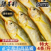 移动端：鲜喜利 真正舟山小黄鱼新鲜冷冻深海海鲜水产黄花鱼生鲜冰鲜海鱼商用烧烤