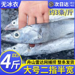 鲜起源 浙江舟山雷达网带鱼 4斤12-14条 冷冻