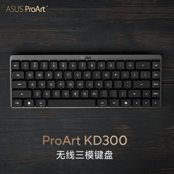 华硕 长效续航 无线键盘  光轴 黑色 RGB