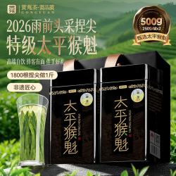 贡苑 绿茶 特级 500g (250g*2罐)