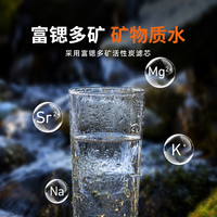 九阳 净水器家用台式加热小型RO饮水过滤一体直饮水净饮机