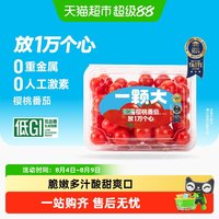移动端、88VIP：一颗大 樱桃番茄精品粒装小西红柿酸甜爆汁基地直发