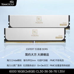 十铨 EXPERT引领者 DDR5内存条 海力士A-die C28 32GB(16Gx2) 白色