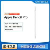 Apple Pencil Pro 电容笔 平板绘画 手写触控笔2024款