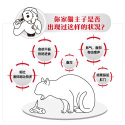 皇家 幼猫肠道处方粮GIK35肠道调理呵护肠胃1kg*2