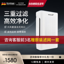 诺森柏格 Nocenbegr 空气净化器 G9家用卧室室内办公智能氧吧26㎡以上除甲醛雾霾粉