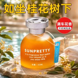 记奢 塔罗车载香薰汽车香水空气清新剂厕所除臭车内除味香氛持久留香 桂花香