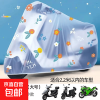 电瓶车防雨罩电动车摩托车防尘车衣罩磨砂车罩透明印花防雪遮盖布 太阳花款大号