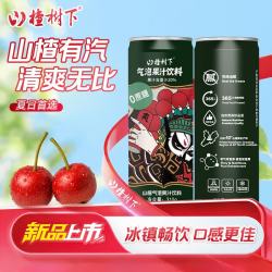 冠芳 山楂树下气泡果汁饮料 山楂口味清爽解腻0脂0蔗糖310g*15瓶整箱装