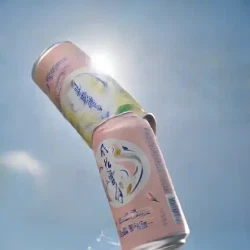 风花雪月 啤酒 桃花/柠檬味 500ml*12罐