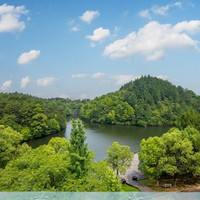 紫晶宾馆(景德镇中国陶瓷博物馆店) 6-7号楼轻奢大床房2晚(连住)
