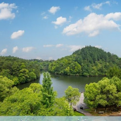 紫晶宾馆(景德镇中国陶瓷博物馆店) 6-7号楼轻奢大床房2晚(连住)