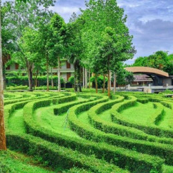 美憬阁清迈维朗达高级度假酒店(Veranda High Resort Chiang Mai - MGallery) 山谷豪华房2晚(连住)