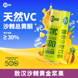 多维爽 沙漠之花内蒙古特产天然小果沙棘汁爆款口味240ml×12罐/箱