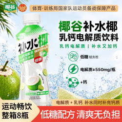椰谷 补水椰580g*8瓶椰子果味运动补水饮料