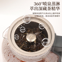 荣事达 纯钛煮茶壶 喷淋式蒸茶器 1L
