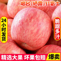鲜声 栖霞红富士苹果4.5斤80mm9-12枚