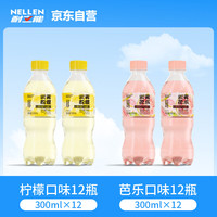 耐立能 云雾果汁气泡水两种口味各12瓶绵密气泡全家清爽即饮饮料