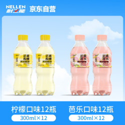 耐立能 云雾果汁气泡水两种口味各12瓶绵密气泡全家清爽即饮饮料