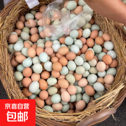九华山 林间绿壳乌鸡蛋混合装新鲜宝宝营养蛋整箱35-45g 50枚（25枚土鸡蛋+25枚乌鸡蛋）