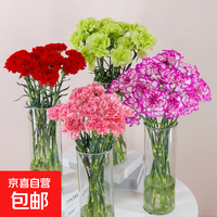 京喜 鲜花云南基地直发38女神妇女节礼物花束多色夕送人3 随机单色康乃馨20枝