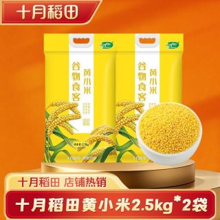 十月稻田 黄小米5kg米油多多口感浓厚家庭囤货金黄饱满杂粮煮粥