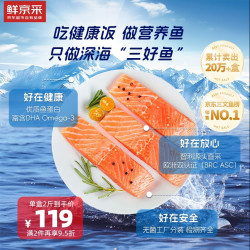 鲜京采 鲜 精选智利进口三文鱼 500g