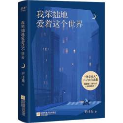 鲁迅文学奖得主王计兵作品合集 低处飞行 成珍 手持人间一束光 我笨拙地爱着这个世界  中国现当代文学诗歌 新华书店正版书籍