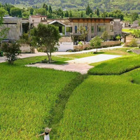 移动端：黄山澍德堂·黟县交叉小径的花园2晚+小径正餐+拙野农场·田园观光手作体验之旅+田园归居下午茶+黟县东站往返接送+南...