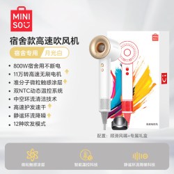 名创优品 高速吹风机 等负离子 护发 静音 速干 家用大风力 电吹风筒 新款