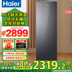 海尔 冷柜BD-210WGHSF