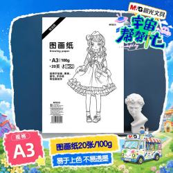 晨光 绘画专用纸A3/20张100g