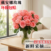 仙花四季 【戴安娜】浪漫之选单头玫瑰 基地直发鲜切花【40-60cm】 戴安娜4+1枝防损耗+保鲜剂