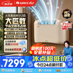 格力 空气能空调 火凤凰如炽小2匹 一级能效冷热一体机 地暖平替煤改电采暖GN-40DZW/(40450)FNhBa-B1