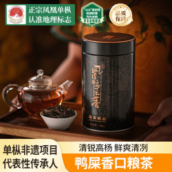 第王 乌龙茶凤凰单枞鸭屎香100g特级茶叶罐装口粮茶自己喝