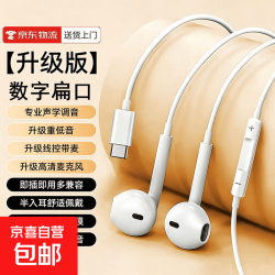 有线耳机Type-C扁口重低音半入耳式线控带麦K歌游戏降噪