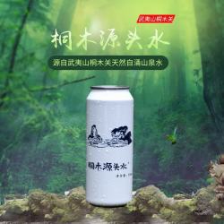 桐木源头水天然山泉水高端饮用水泡茶水源自武夷山优于矿泉水的小分子弱碱水 500ML*8罐